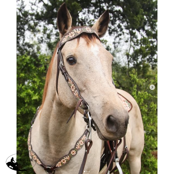 New! Dogwood Desert Dogwood Desert BROWBAND HEADSTALL Matchy Match
