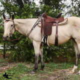 New! Dogwood Desert - Country Scene Saddlery and Pet Supplies