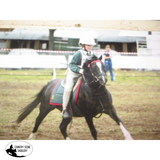 New! Dolan Small Child, Youth Junior Drafter - Country Scene Saddlery and Pet Supplies