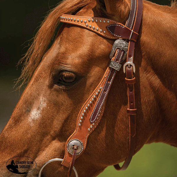 Double S Two-Tone Studded Browband Headstall