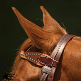 New! Double S Two-Tone Studded Browband Headstall - Country Scene Saddlery and Pet Supplies