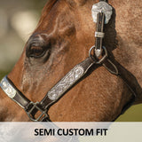 Double S Caroline Show Halter Without Lead - Country Scene Saddlery and Pet Supplies