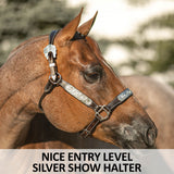 Double S Caroline Show Halter Without Lead - Country Scene Saddlery and Pet Supplies
