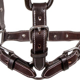 Double S Caroline Show Halter Without Lead - Country Scene Saddlery and Pet Supplies
