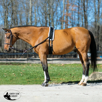 New! Dura-Tech® Fleece Lined Training Surcingle For Horses