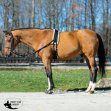 NEW! Dura-Tech® Fleece Lined Training Surcingle for Horses - Country Scene Saddlery and Pet Supplies