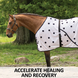 New! Dura-Tech® Magnetic Sheet Horse Blankets & Sheets