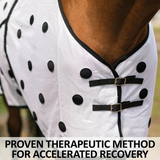 New! Dura-Tech® Magnetic Sheet Horse Blankets & Sheets