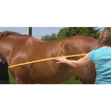 New! Dura-Tech® Magnetic Sheet Horse Blankets & Sheets