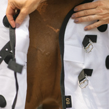 New! Dura-Tech® Magnetic Sheet Horse Blankets & Sheets