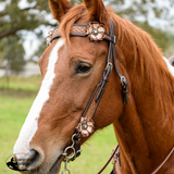 New! Dusty Rose One Ear Headstall - Country Scene Saddlery and Pet Supplies