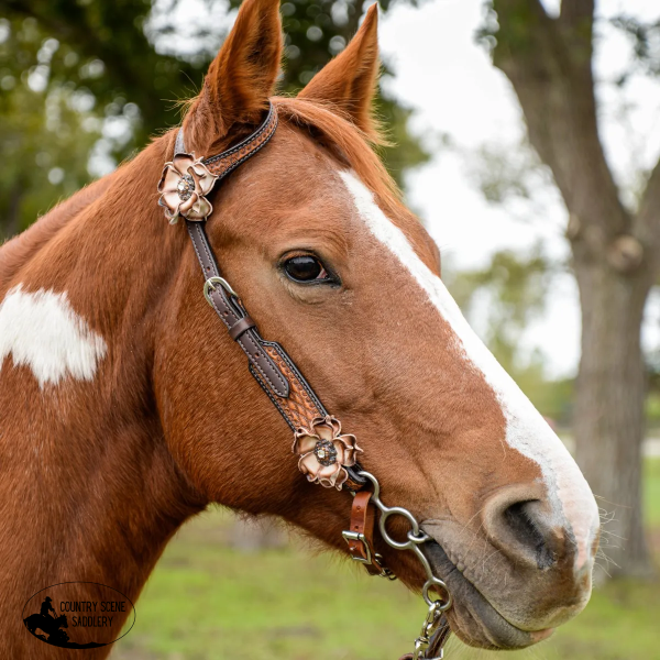 New! Dusty Rose One Ear Headstall One Eared Western Breastplate
