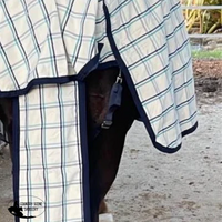 Earlwood Dual Season Tail Bags Horse Blankets & Sheets