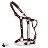 New! Engraved Silver Show Halter - Country Scene Saddlery and Pet Supplies