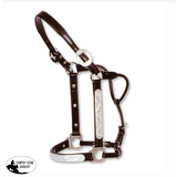New! Engraved Silver Show Halter - Mare/2 Year Old - Country Scene Saddlery and Pet Supplies