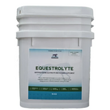New! Equestrolyte Powder - Equestrolyte Paste