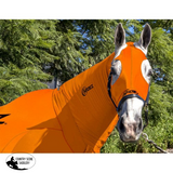 New! EQUINE COMPRESSION NECK AND HOOD COMBO ORIGINAL ORANGE - Country Scene Saddlery and Pet Supplies