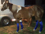 EQUINE ICE COMPRESSION SOCK - BLUE . - Country Scene Saddlery and Pet Supplies
