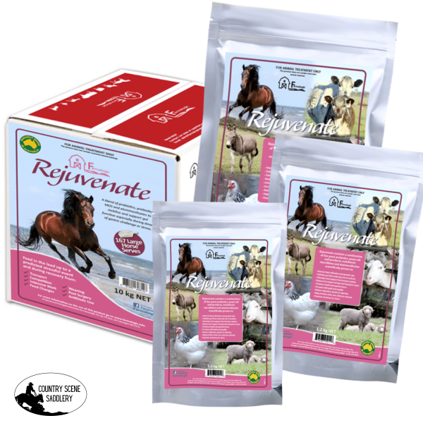 NEW! Farmalogic Rejuvenate Probiotic Supplement for Optimal Horse Gut Health🚚 Postage to be Quoted.*