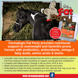 NEW! Fat Pony🚚 Postage to be Quoted .* - Country Scene Saddlery and Pet Supplies