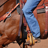 New! Featherflex Straight Cinch - 36