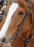FILIGREE INLAY & BUCKSTITCH - Country Scene Saddlery and Pet Supplies