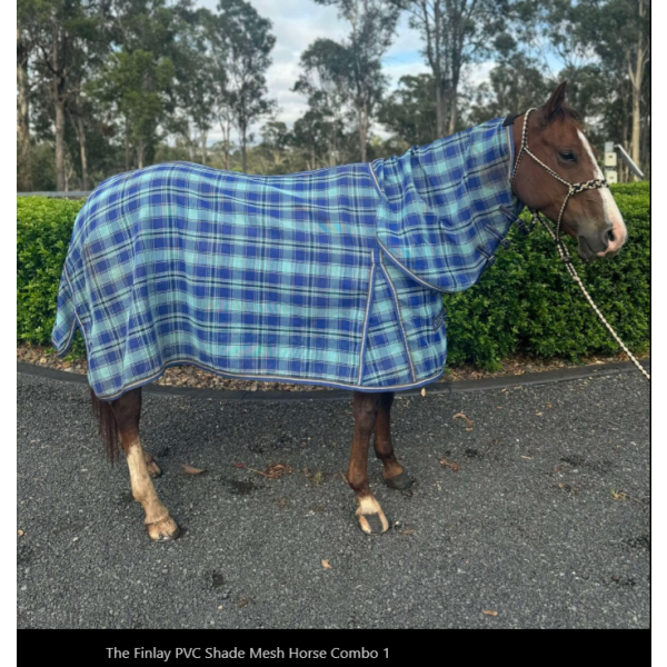 New! Finlay PVC Shade Mesh Horse Combo Summer Combos