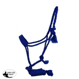 New! Flat Nose Mule Tape Halters - Country Scene Saddlery and Pet Supplies