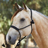 New! Flat Nose Mule Tape Halters - Country Scene Saddlery and Pet Supplies