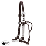 New! FLOWER AND BLUE STONE SHOW HALTER - Country Scene Saddlery and Pet Supplies