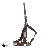 New! Fort Worth Dakota Leather Halter w/Bling - Country Scene Saddlery and Pet Supplies