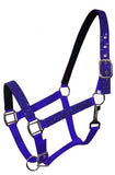 Glitter nylon halter full size. - Country Scene Saddlery and Pet Supplies
