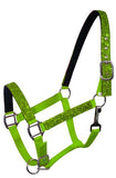 Glitter nylon halter full size. - Country Scene Saddlery and Pet Supplies