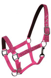 Glitter nylon halter full size. - Country Scene Saddlery and Pet Supplies