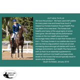 NEW! Gut Health Plus 🚚 Postage to be Quoted - Country Scene Saddlery and Pet Supplies
