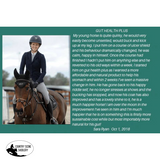 NEW! Gut Health Plus 🚚 Postage to be Quoted - Country Scene Saddlery and Pet Supplies