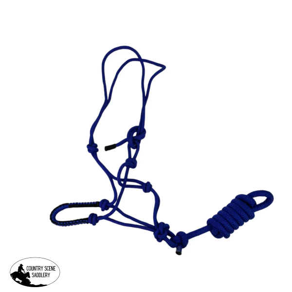 New! Halter & Lead Blue/Black