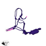 New! Halter & Lead Purple/Pink