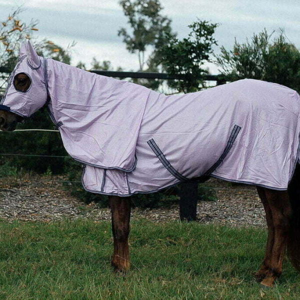 New! Hooded Full Mesh Combo -Lavender Summer Combos