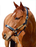Horse Halter Nameplate (HAMAG BRAND) - Country Scene Saddlery and Pet Supplies