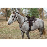 New! MJ48 JOSEY CASH GO ROUND - Country Scene Saddlery and Pet Supplies