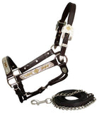 leather full horse size show halter with lead. - Country Scene Saddlery and Pet Supplies