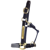 Leather Halter - Brass Fittings with Engraved Horse Nameplate - Country Scene Saddlery and Pet Supplies