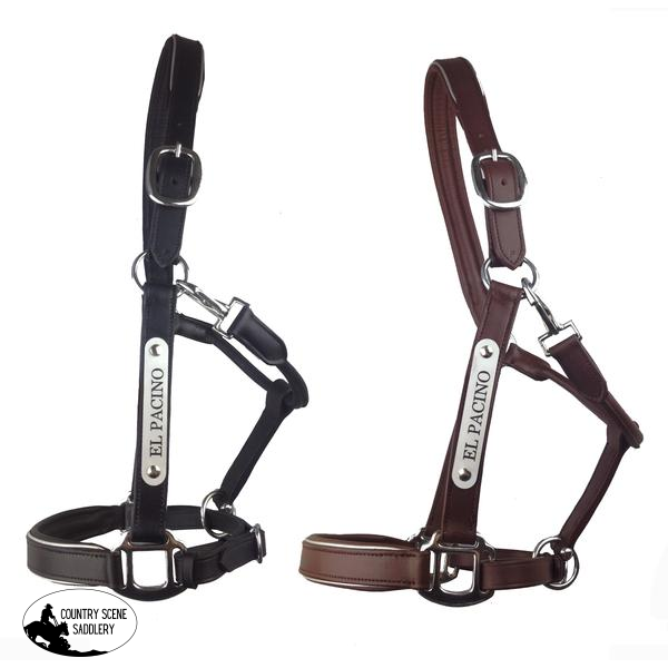 New! Leather Halter - Silver Fittings With Engraved Horse Nameplate