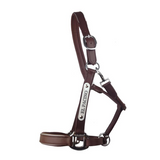 New! Leather Halter - Silver Fittings with Engraved Horse Nameplate - Country Scene Saddlery and Pet Supplies