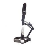 New! Leather Halter - Silver Fittings with Engraved Horse Nameplate - Country Scene Saddlery and Pet Supplies
