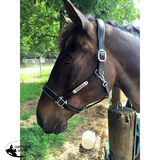 New! Leather Halter - Silver Fittings with Engraved Horse Nameplate - Country Scene Saddlery and Pet Supplies