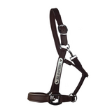New! Leather Halter - Silver Fittings with Engraved Horse Nameplate - Country Scene Saddlery and Pet Supplies