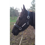 New! Leather Halter - Silver Fittings with Engraved Horse Nameplate - Country Scene Saddlery and Pet Supplies