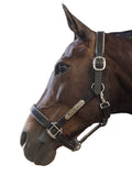 New! Leather Halter - Silver Fittings with Engraved Horse Nameplate - Country Scene Saddlery and Pet Supplies